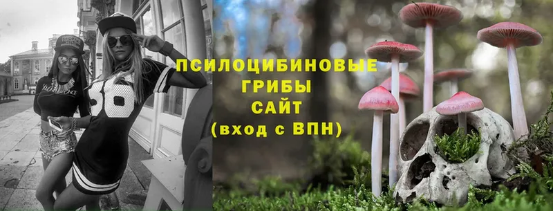 мориарти формула  Шарыпово  Псилоцибиновые грибы Psilocybine cubensis  где купить наркоту 